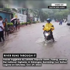 River Runs Through It