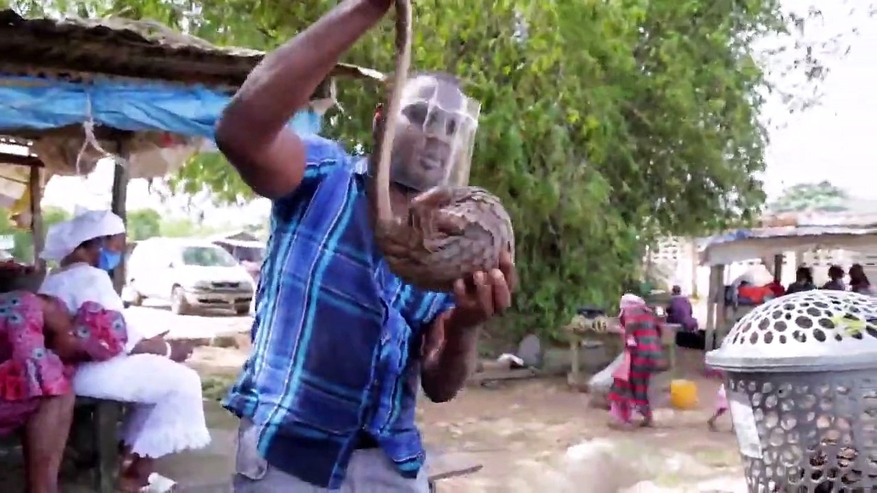 Wet Markets Exposed - Se1 - Ep02 - Peru HD Watch HD Deutsch