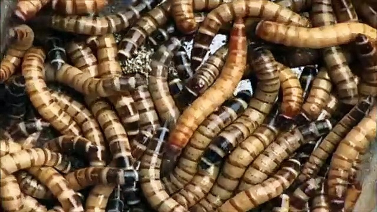 Better Off Ted - Se1 - Ep08 HD Watch HD Deutsch