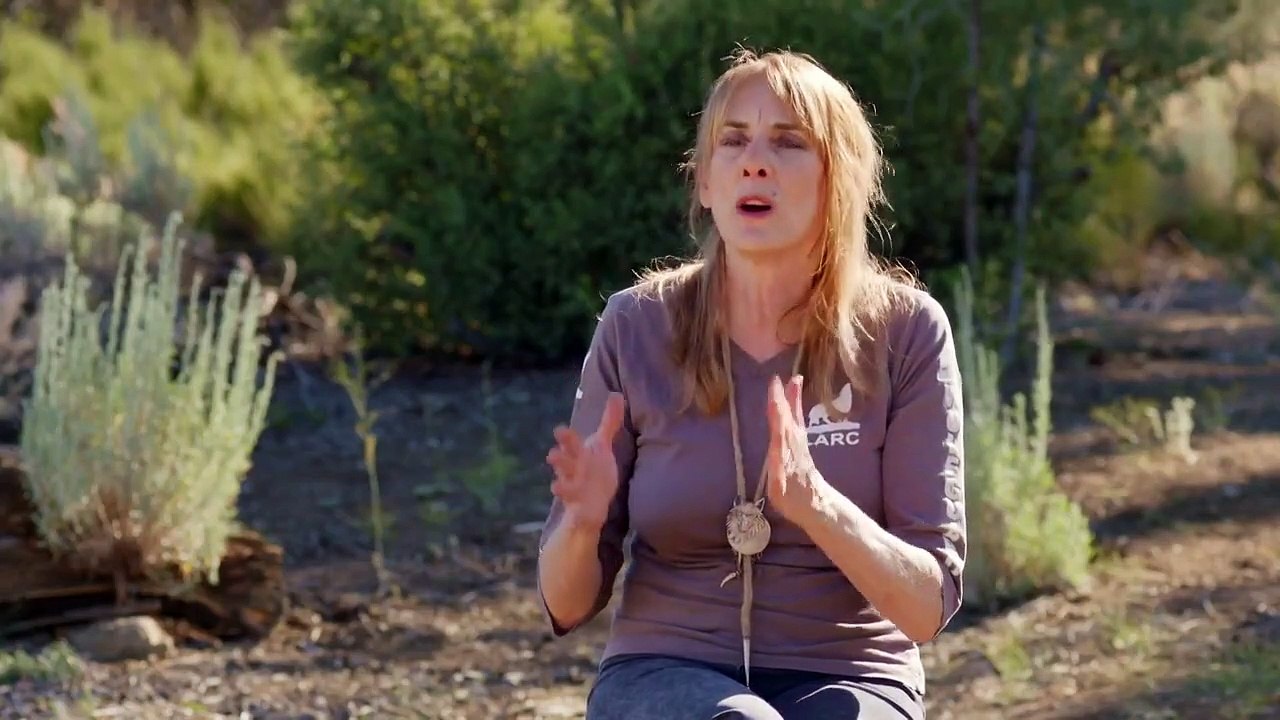 Wolves and Warriors - Se1 - Ep08 - Protect the Pack HD Watch HD Deutsch