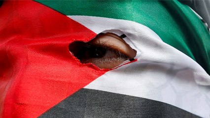 "عرين الأسود" مقاومة عابرة للفصائل.. كيف حررت فلسطين من وهم الجغرافيا؟