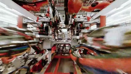 Sustentável? Tesla vai derrubar quase 690 mil m² de floresta na Alemanha