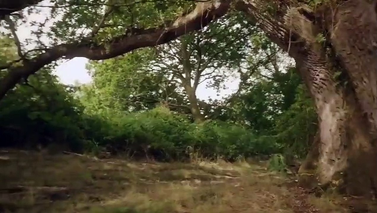 Da Vincis Demons - Se3 - Ep04 - The Labrys HD Watch HD Deutsch