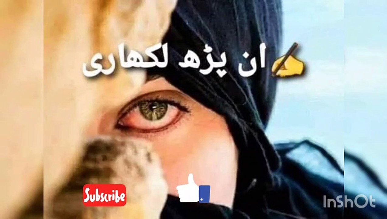 sta gulabi stargy Pashto Naat Nazam Tarany Tarana  Tarane pushto Nazm Nazmona Natuna Natona Zamzma Sangar Yaar Studio