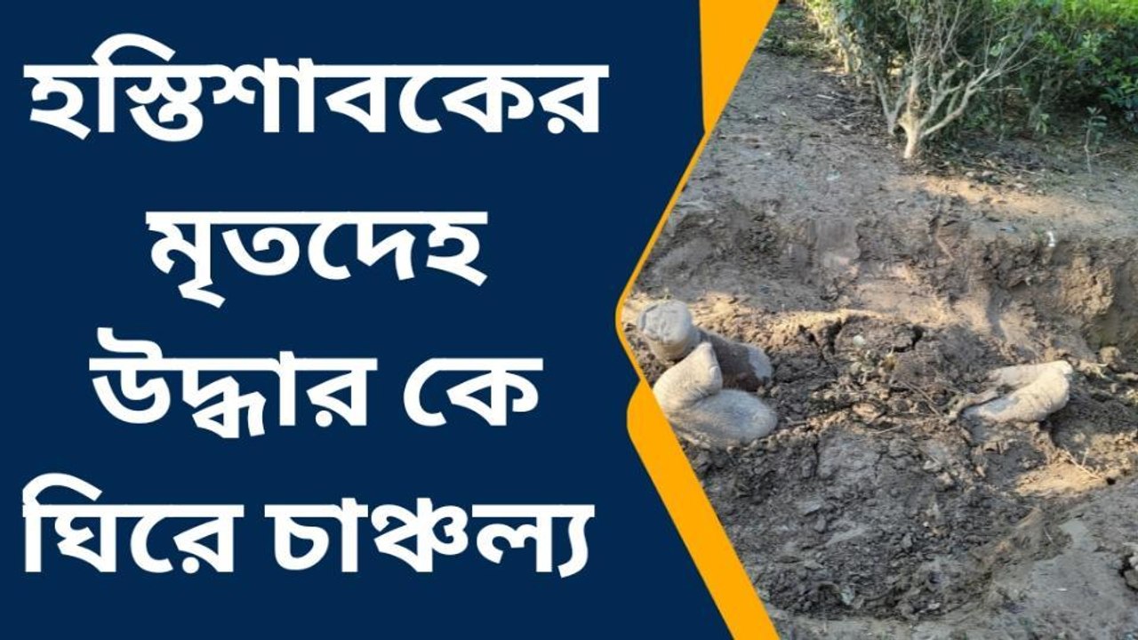 জেলার খবরঃ হস্তিশাবকের মৃতদেহ উদ্ধার হল চা বাগা...