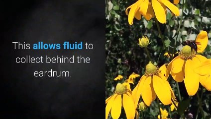 earache home remedy _ Ear Pain in Children