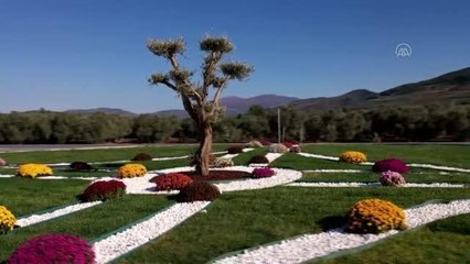 Bakan Karaismailoğlu TOGG'un fabrika yollarını gösteren video paylaştı