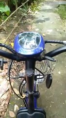 Berkebunlah seakan kau akan hidup selamanya #healing #berkebun #gardening #potato #shorts