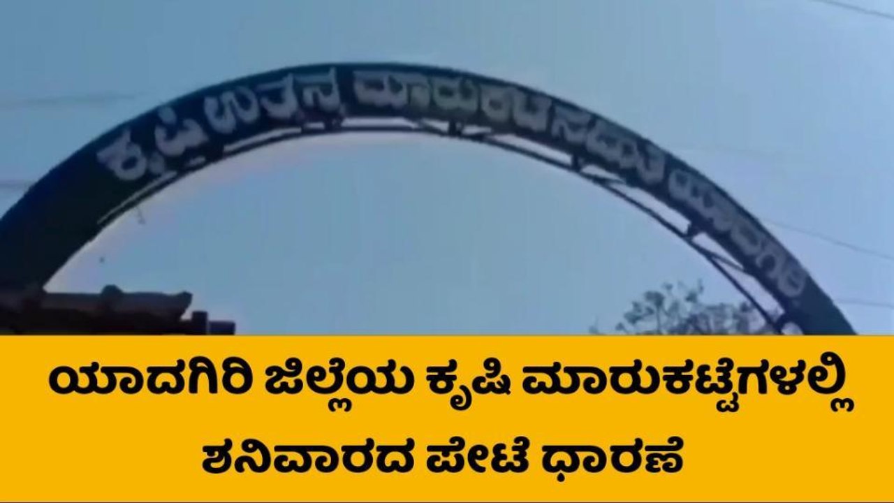 ಯಾದಗಿರಿ: ಎಪಿಎಂಸಿ ಮಾರುಕಟ್ಟೆಯಲ್ಲಿ ಹತ್ತಿ ಮಾರಾಟ ಹೆಚ್ಚಳ