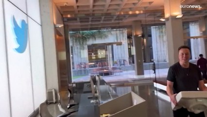 Twitter outcasts seek reinstatement and test free speech boundaries after Musk takeover