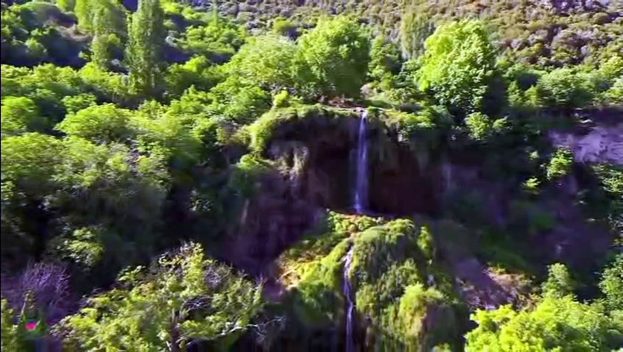 La musique relaxante soigne les maladies du cœur et des vaisseaux sanguins - Musique douce, calme