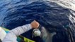Moment shark bites fisherman’s 45lb tuna in half as he reels catch into kayak