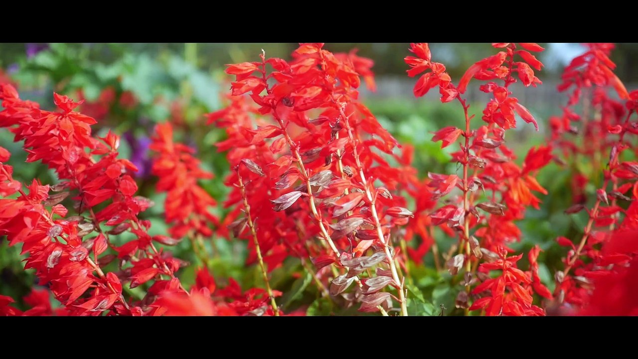 ANTHONY DORIAND - ALORS VA [CLIP OFFICIEL]