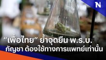 "เพื่อไทย" ย้ำจุดยืน พ.ร.บ. กัญชา ต้องใช้ทางการแพทย์เท่านั้น | ข่าวข้นคนข่าว | NationTV22