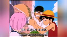 The moment luffy and zorro met before they became friends