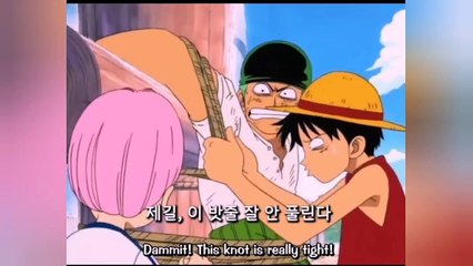 The moment luffy and zorro met before they became friends
