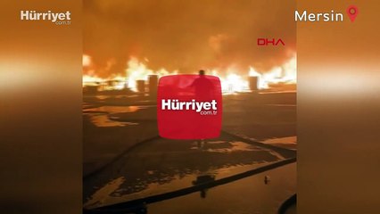Mersin'de bir palet fabrikasında yangın