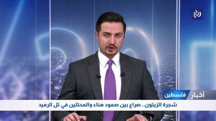 فلسطين: شجرة الزيتون.. صراع بين صمود هناء والمحتلين في تل الرميد