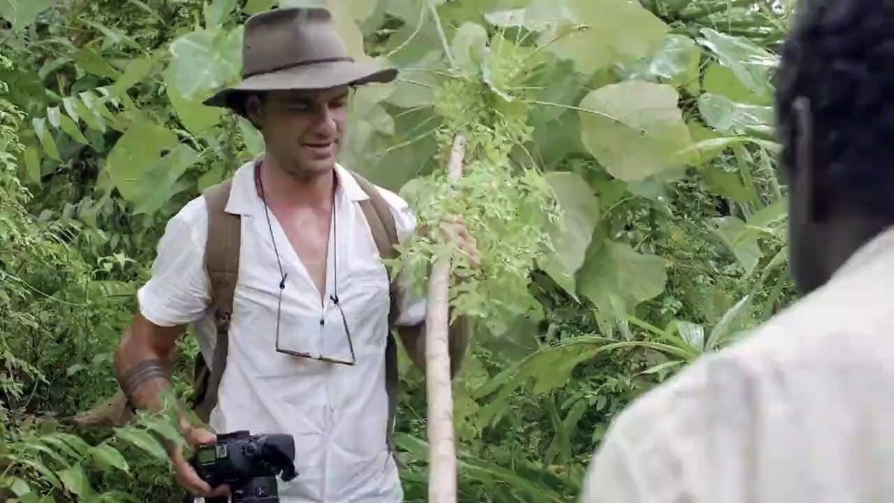 Bildschöne Welt Staffel 3 Folge 6 HD Deutsch