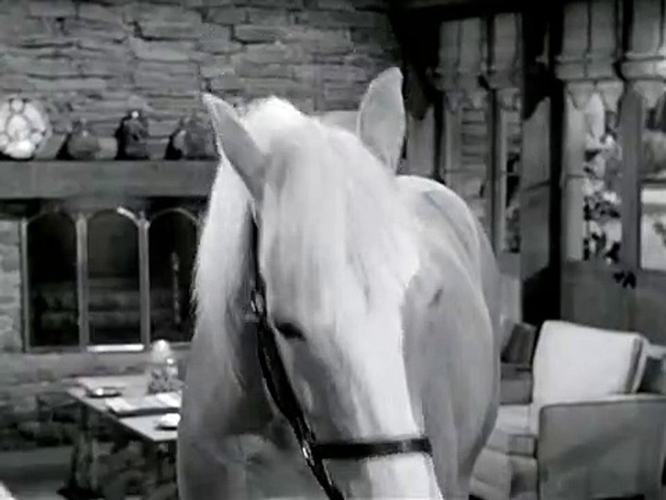 Mr. ed staffel 5 folge 21 hd deutsch