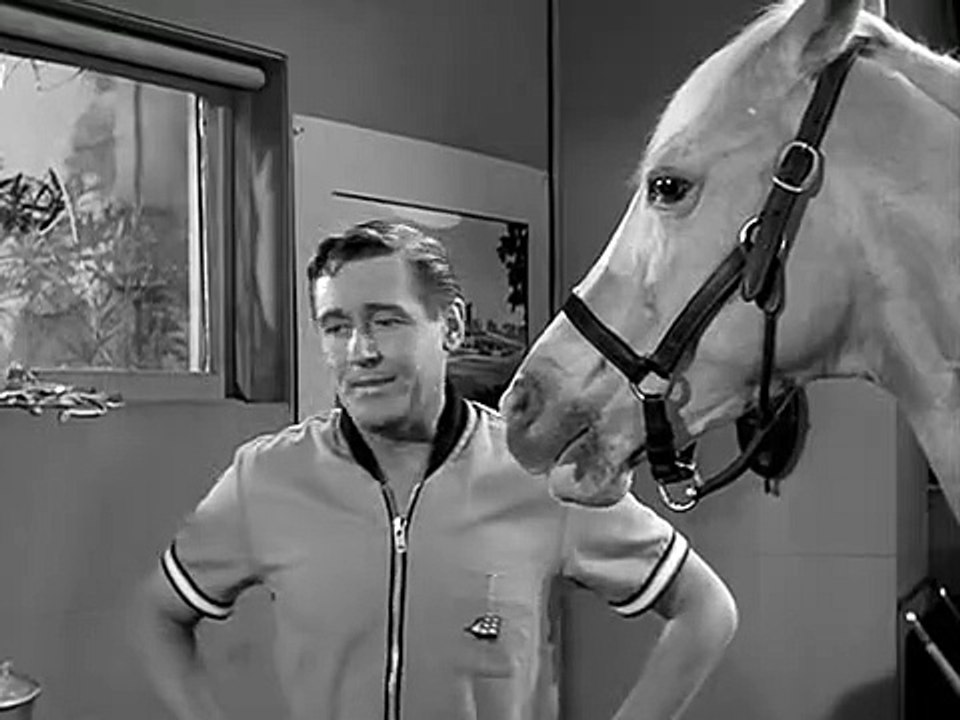 Mr. Ed Staffel 5 Folge 24 HD Deutsch