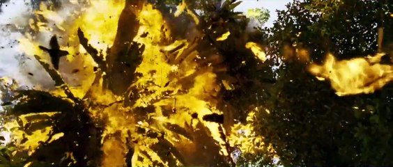 Warriors of the Rainbow Seediq Bale - Part 2 Bande-annonce (EN)