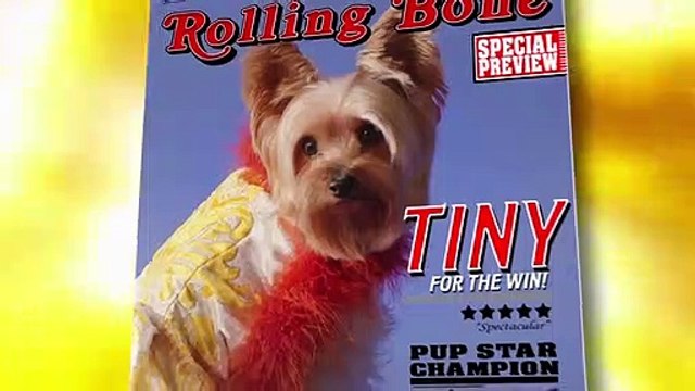 Pup Star : À 2 c’est mieux Bande-annonce (EN)