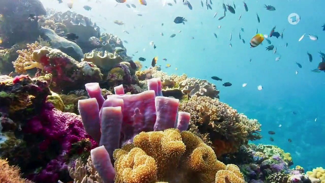 Planet der Liebe Staffel 1 Folge 2 HD Deutsch