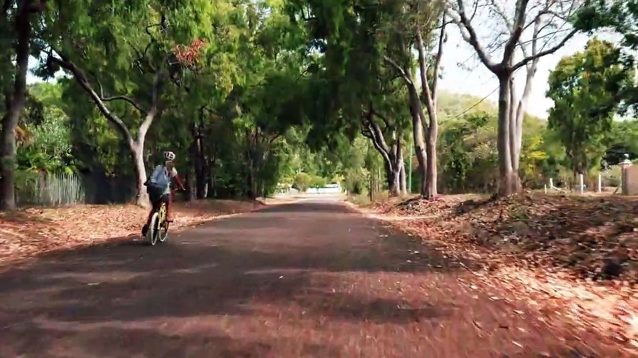 Izzy und die Koalas Staffel 1 Folge 2 HD Deutsch