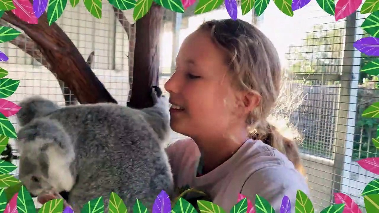 Izzy und die Koalas Staffel 1 Folge 8 HD Deutsch video Dailymotion