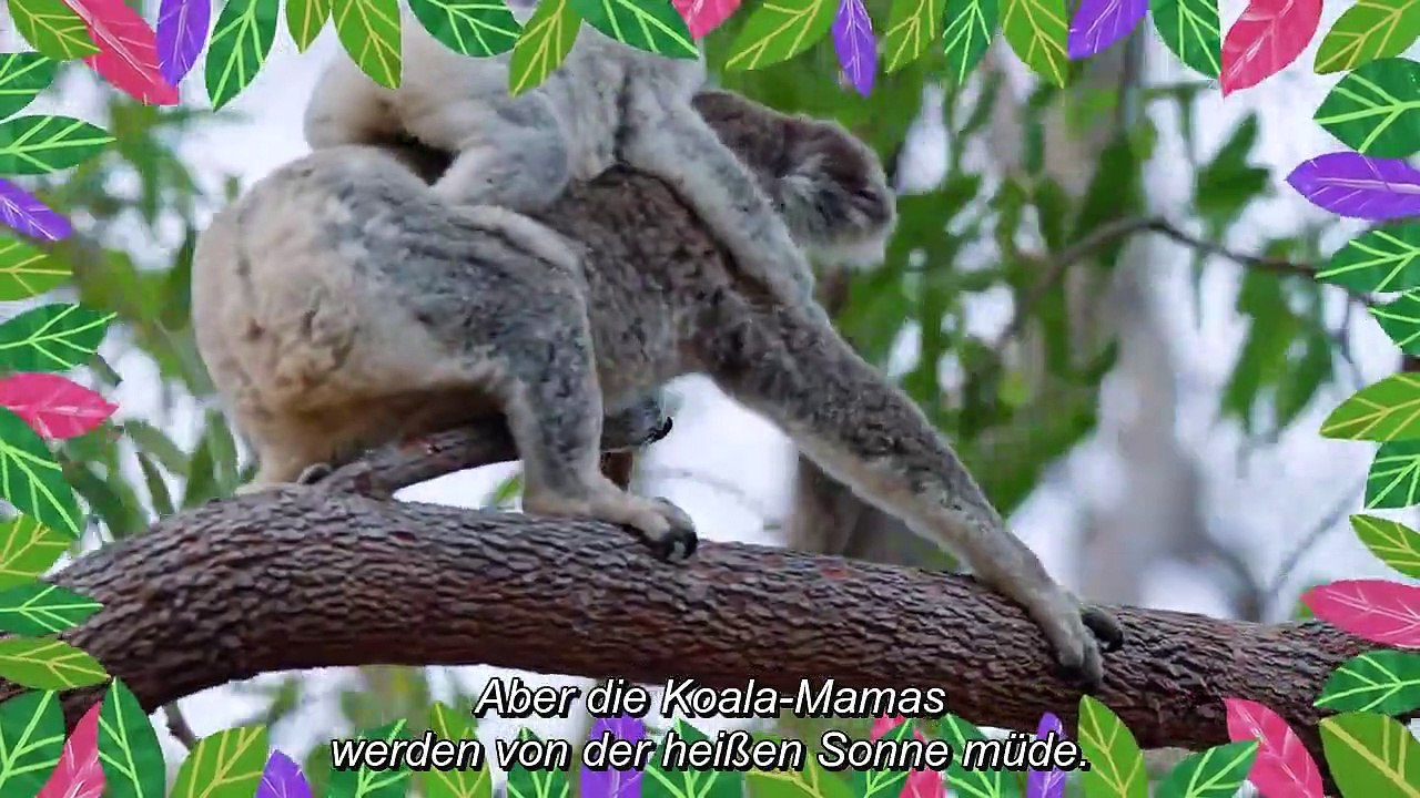 Izzy und die Koalas Staffel 2 Folge 1 HD Deutsch