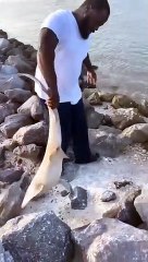 Save any life is a very good work