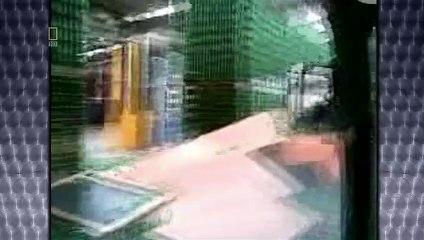 Science of Stupid Wissenschaft der Missgeschicke Staffel 1 Folge 3 HD Deutsch