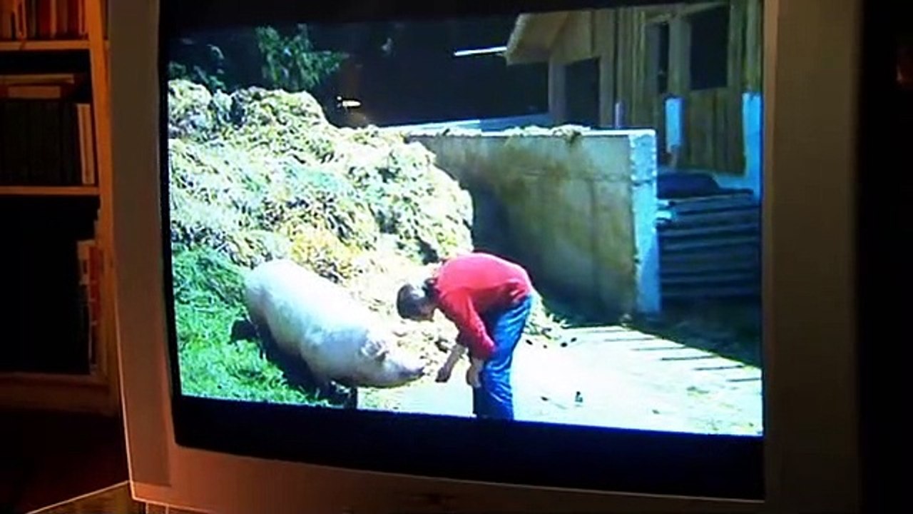 Türkisch für Anfänger Staffel 3 Folge 8 HD Deutsch