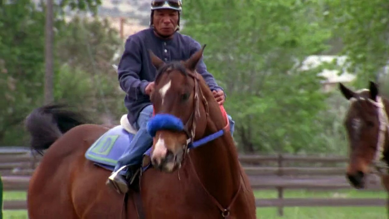 Wildfire Staffel 4 Folge 11 HD Deutsch