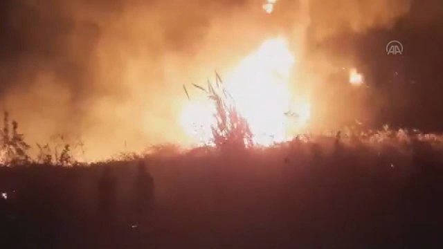 Samandağ'daki zeytinlik ve kamışlık alanda yangın çıktı