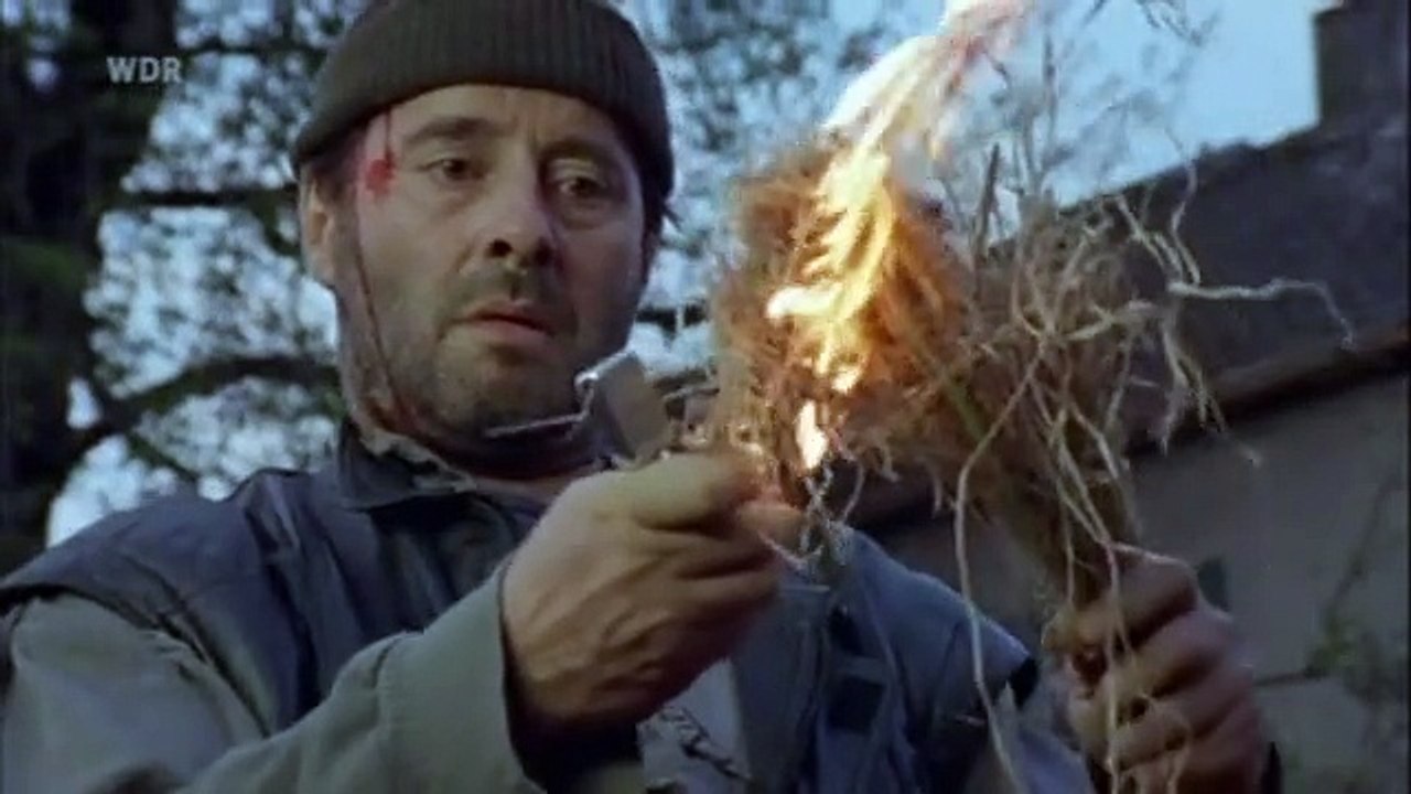 Polizeiruf 110 Staffel 24 Folge 7 - Part 02 HD Deutsch