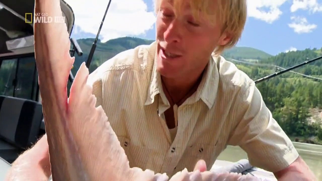 Mann gegen Fisch Staffel 2 Folge 2 HD Deutsch