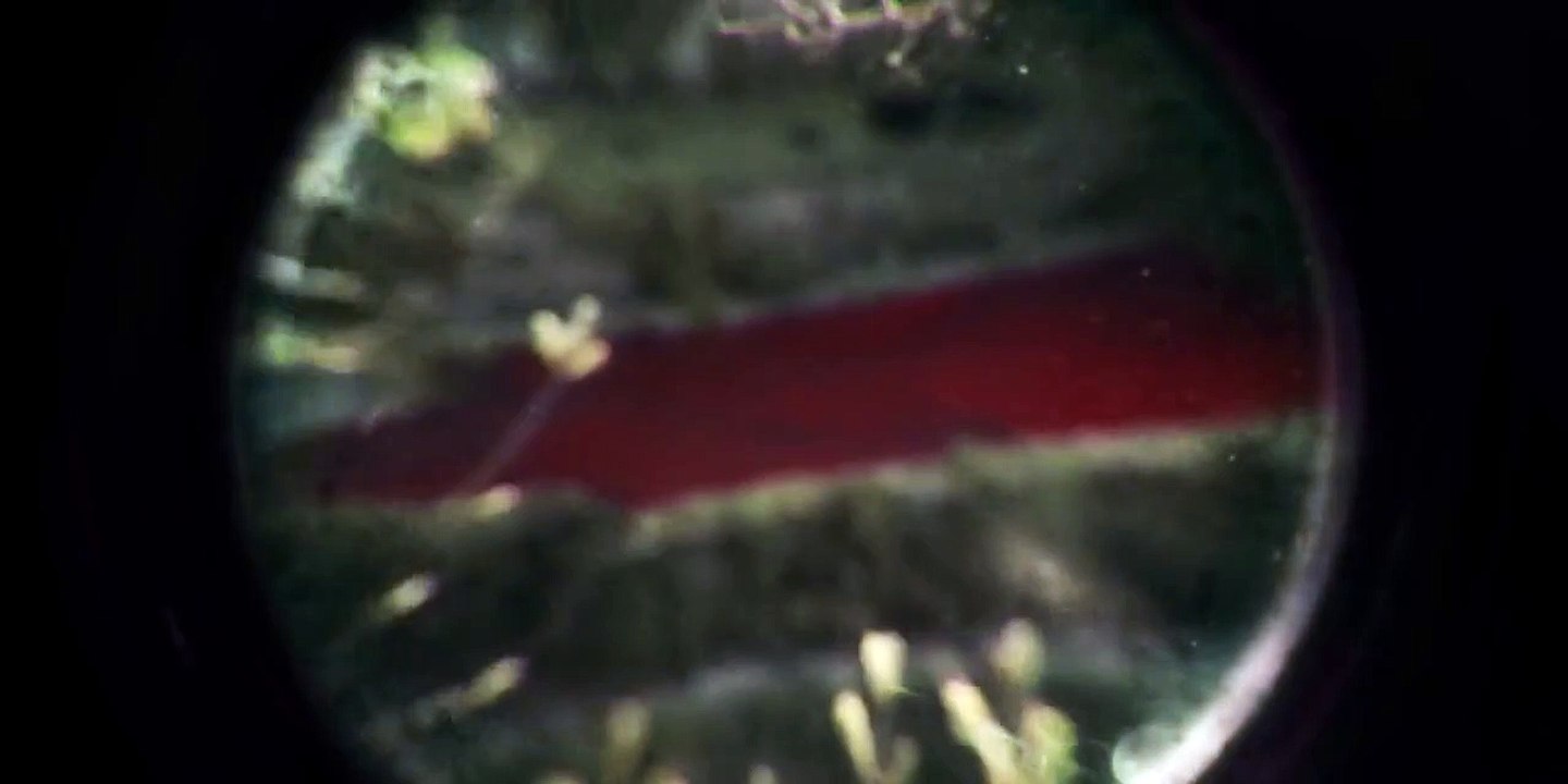 Luna Nera Staffel 1 Folge 3 HD Deutsch