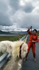 Dog's grow up tik tok Cute baby animals transformation