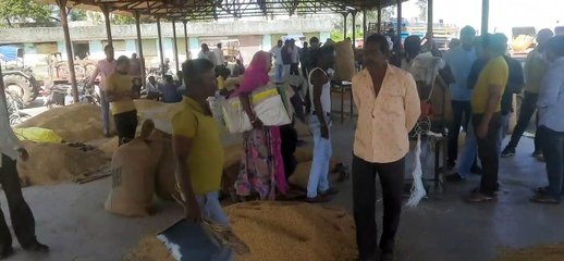 एक सप्ताह बाद मंडी में रौनक, भाव भी मिले अच्छे