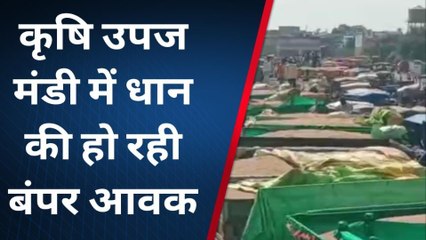 रायसेन: कृषि उपज मंडी में बढ़ी धान की आवक, किसानों ने जानिए क्या लगाए आरोप