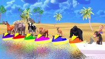 Learn Wild Animals On Speed Boat Race Video For Kids - Learn Animals Names & Sounds For Toddlers