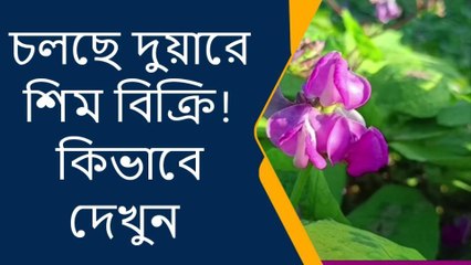 চলছে দুয়ারে শিম বিক্রি ! কিভাবে দেখুন