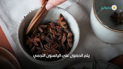 اليانسون النجمي بقيمه الغذائية وطرق استخدامه
