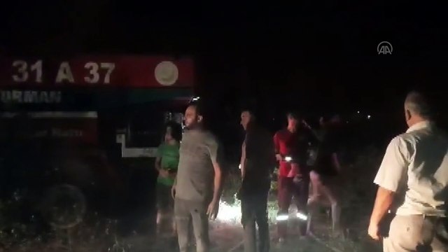 Hatay'da zeytinlik ve kamışlık alanda yangın çıktı