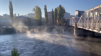 Soğuk hava nedeniyle örümcek ağları kırağı tuttu