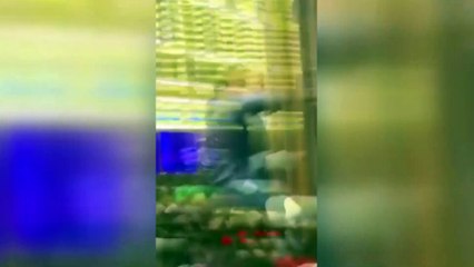 Cadılar Bayramından hayatta kalma hikayeleri: Binalara tırmanan insanlar gördüm