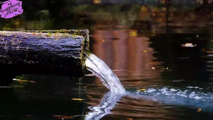 Bamboo Water Fountain and Healing Piano Music • Soothing Relaxation......