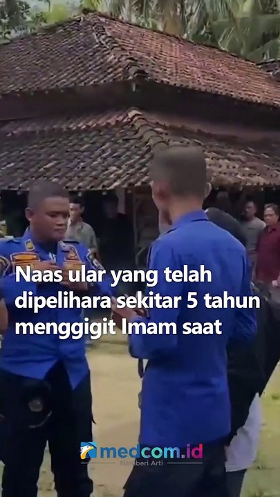 Tragis! Pawang Ular di Trenggalek Tewas usai Digigit Ular King Cobra